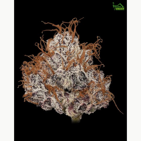 BAM Alaska - Wedding Crashers 1.5g Fat Boy - 1