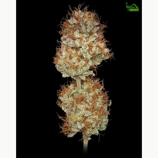 BAM Alaska - Willy's Wonca 1g Pre-Roll - 1