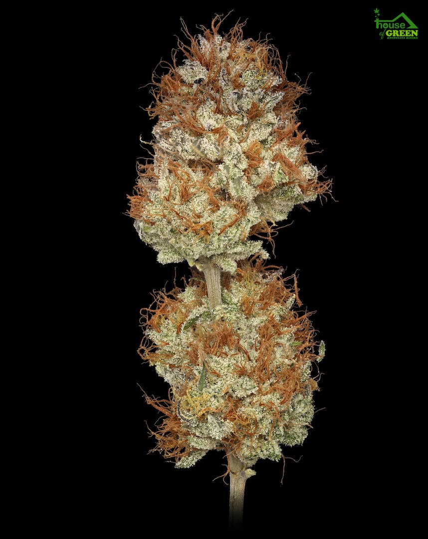 BAM Alaska - Willy's Wonca .5g - 2 Pack - 1