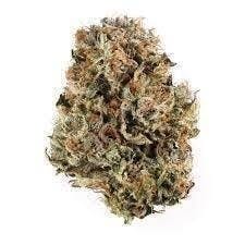 Cannafeen - Cannafeen | Platinum OG | Big Buds - 1