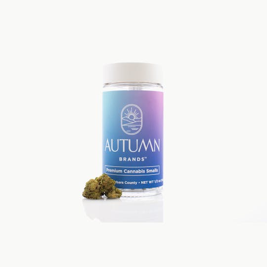 Autumn Brands - Purple Carbonite Premium 14g Smalls - 1