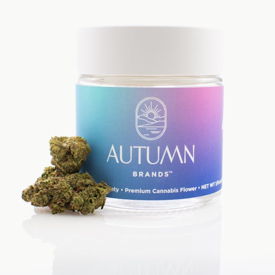 Autumn Brands - Purple Carbonite Premium 3.5g Flower - 1