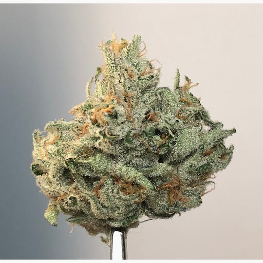 BAM Alaska - Quantum Kush .5g - 5 Pack - 1
