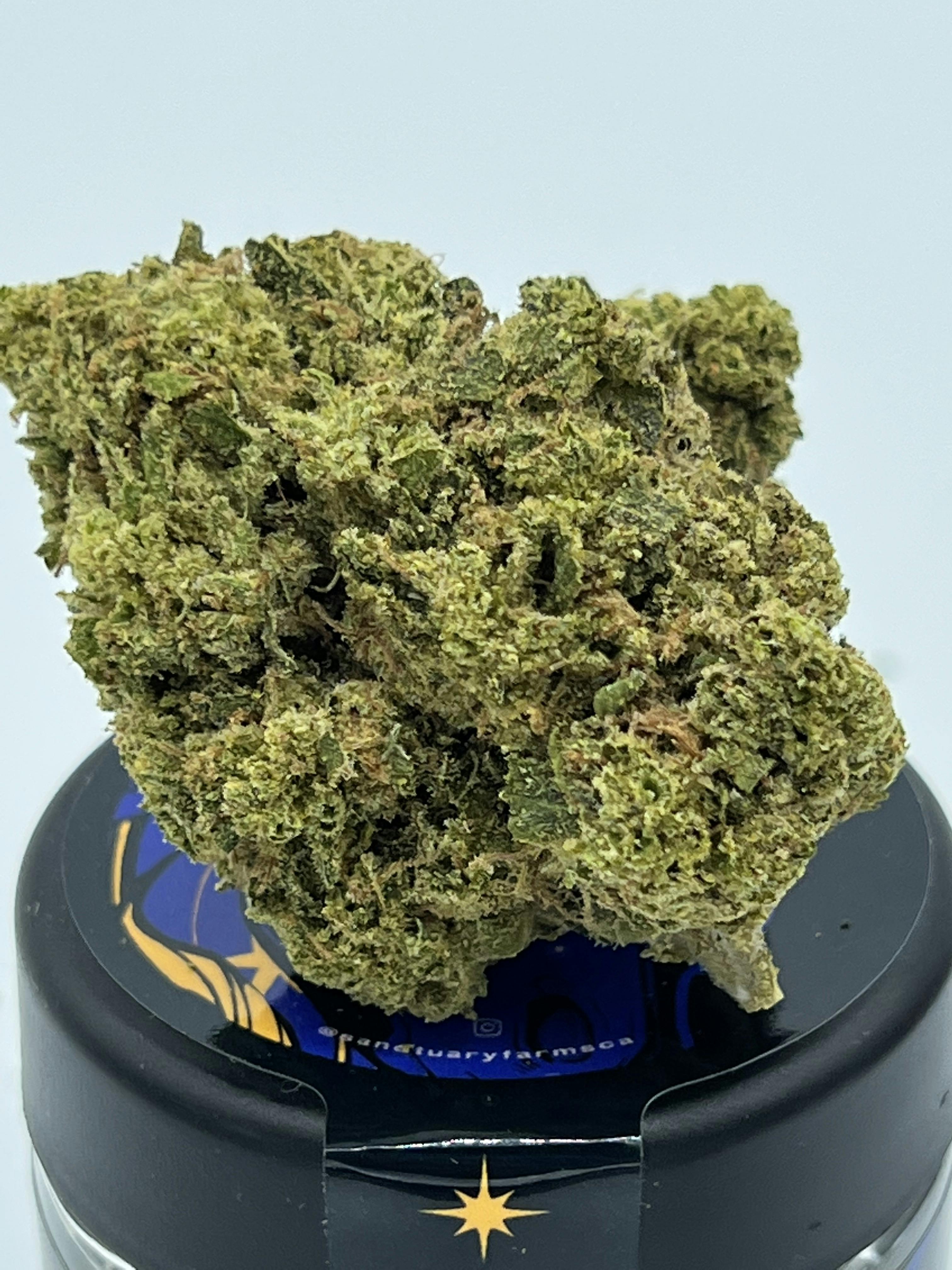 Sanctuary Farms - Sanctuary Farms Blunicorn 3.5g - 1