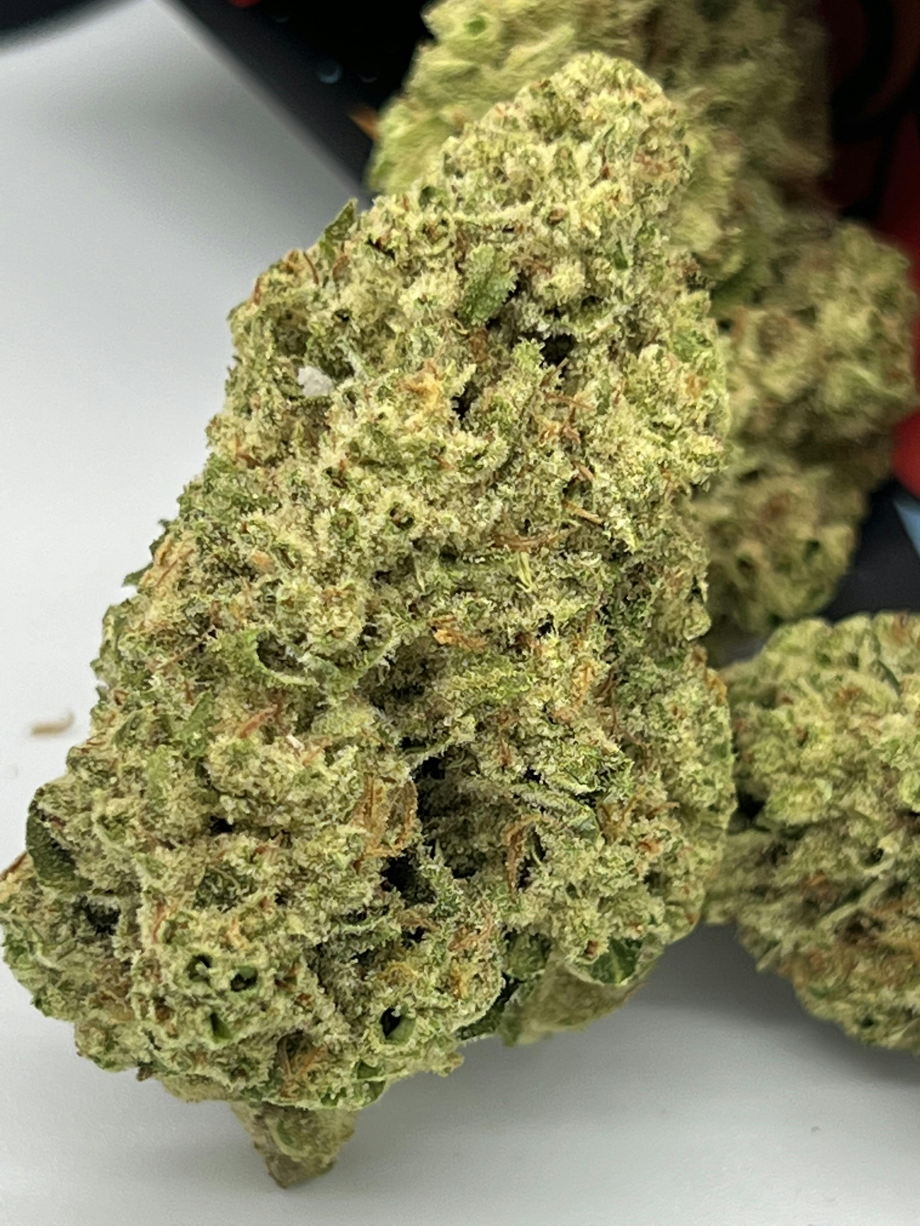 Sanctuary Farms - Sanctuary Farms Sour Guava 3.5g - 1