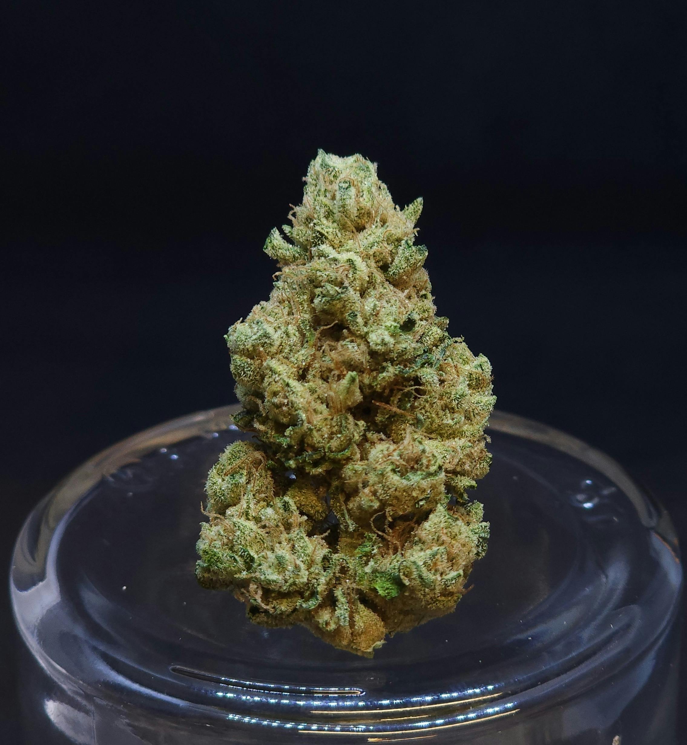 BAM Alaska - Phatso 1.5g Fat Boy - 1