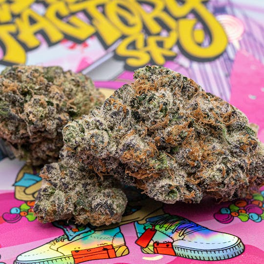 TEDS BUDZ - Nerds XO - 1