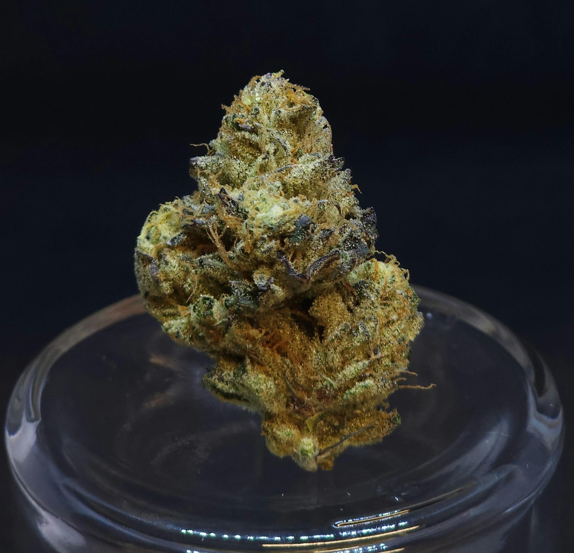 BAM Alaska - AK Cake .5g Pre-Roll 5 Pack - 1