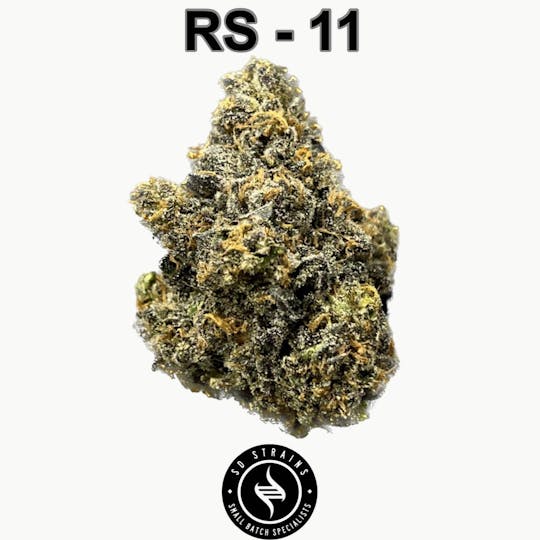 SD STRAINS - SD Strains RS 11 3.5g - 1