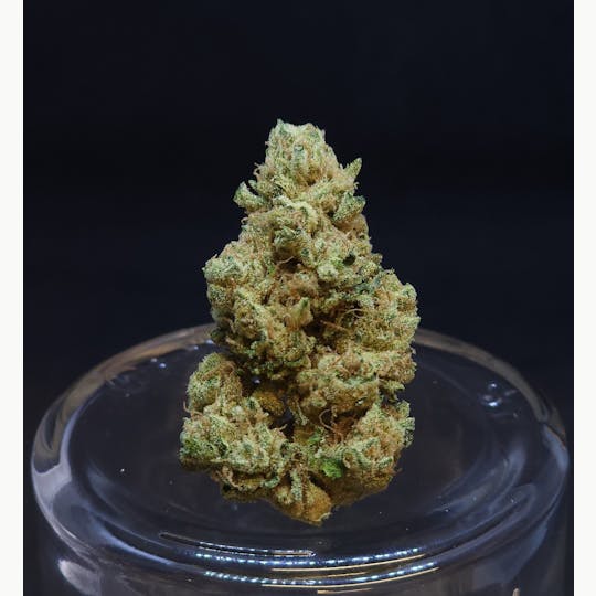 BAM Alaska - Phatso .5g - 5 Pack - 1