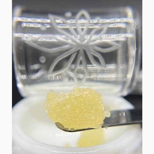 Sooner Glue - 5g Teeny Bikini Live Resin - 1