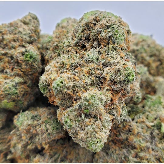 World Class Cannabis - Citrus Tsunami - 1