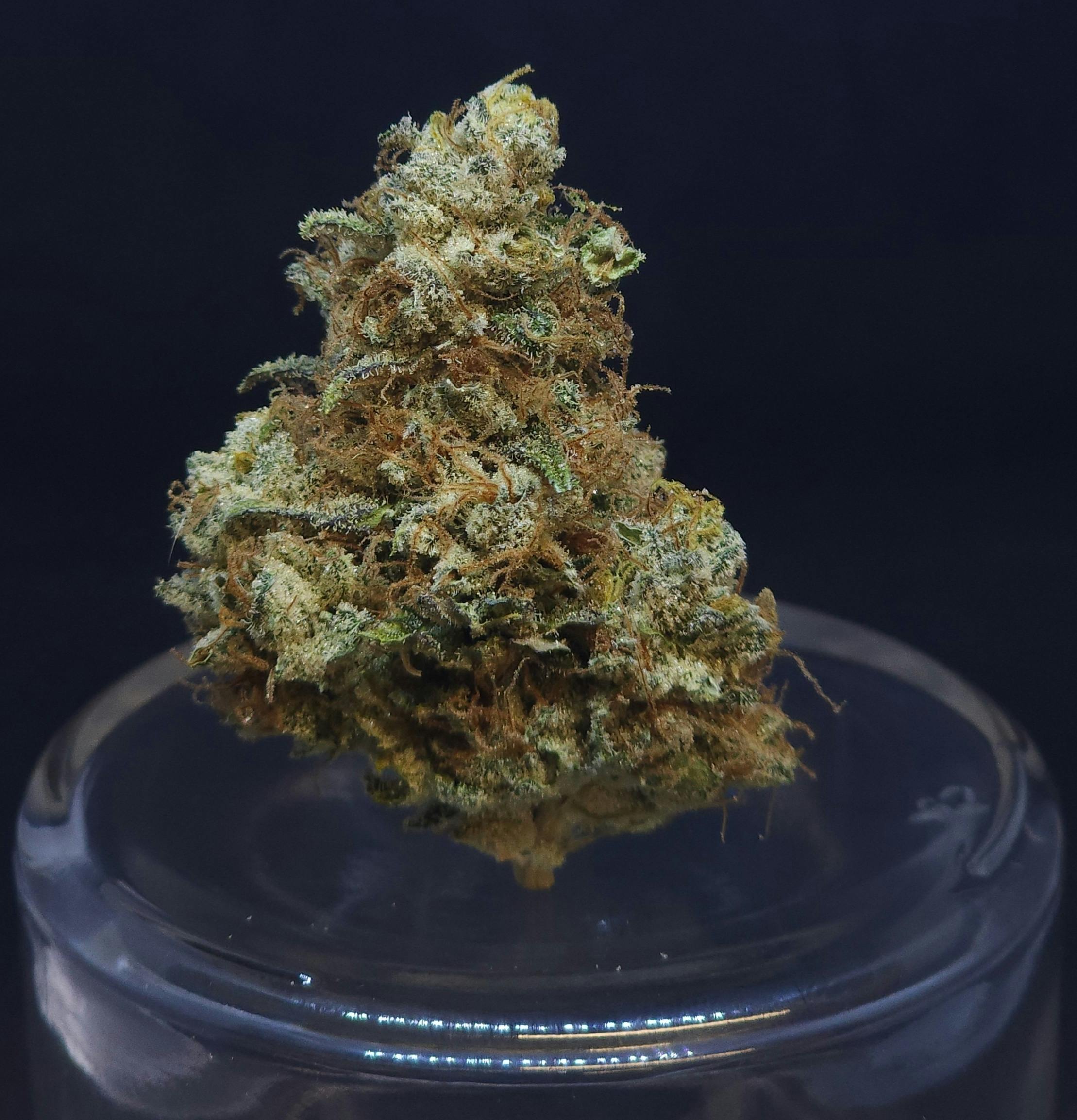 BAM Alaska - cAKe & Pie 1.5g Fat Boy - 1