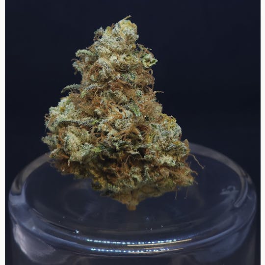 BAM Alaska - cAKe & Pie 1.5g Fat Boy - 1