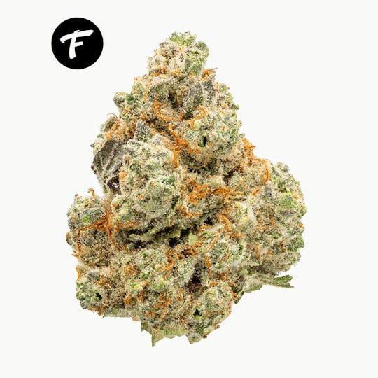 Forte Cannabis - Pancakes 3.5G Prepack - 21.89% - 1