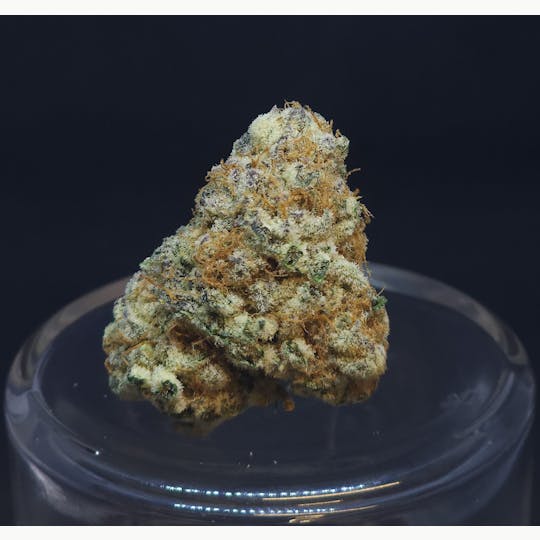 BAM Alaska - Purple Punch .5g Pre-Roll 2 Pack - 1