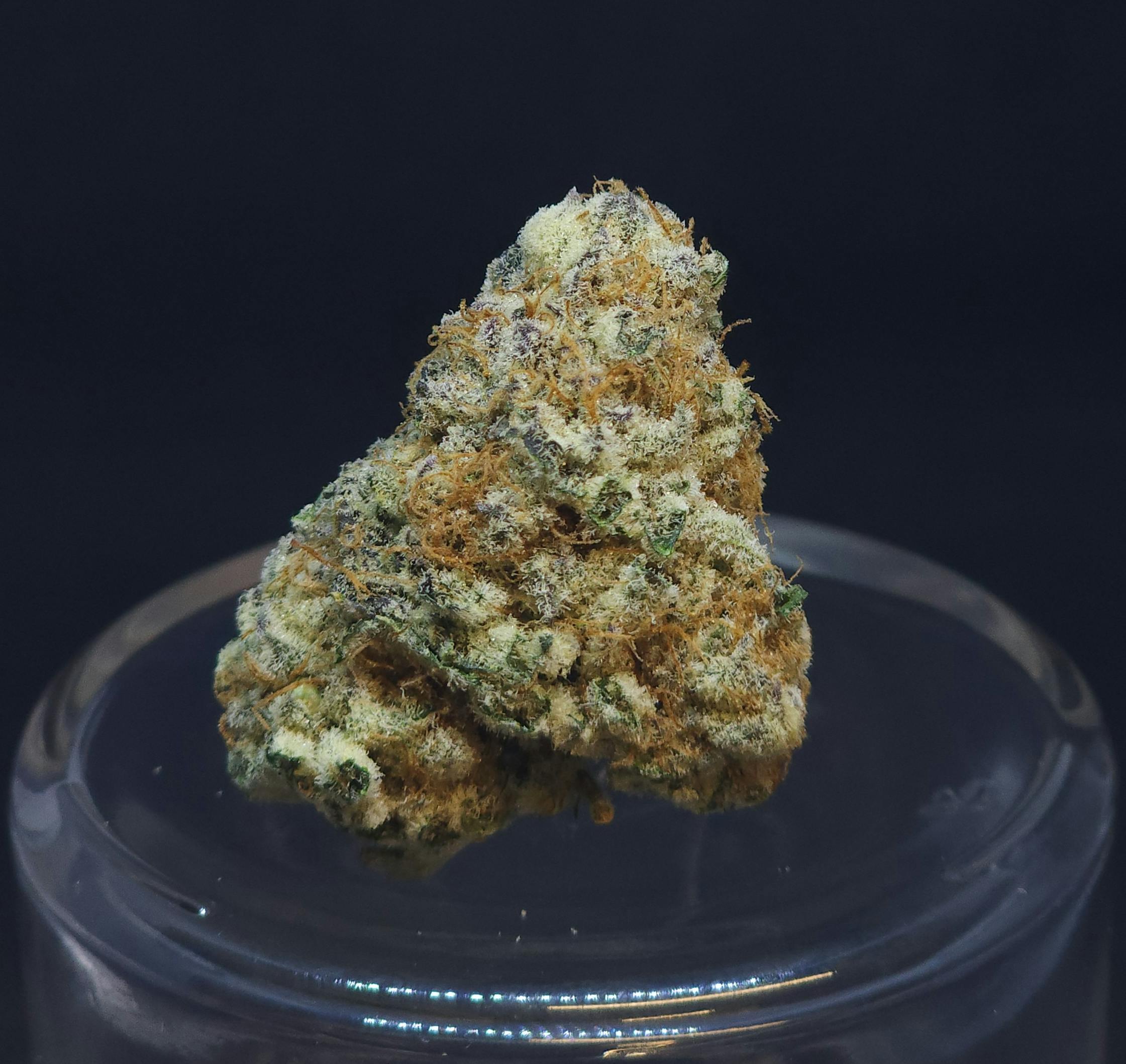 BAM Alaska - Purple Punch 1g Flower - 1