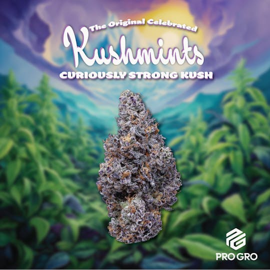 Pro Gro - Kush Mints Bubble Hash Infused Pre-Roll | 1g 3-Pack - 1