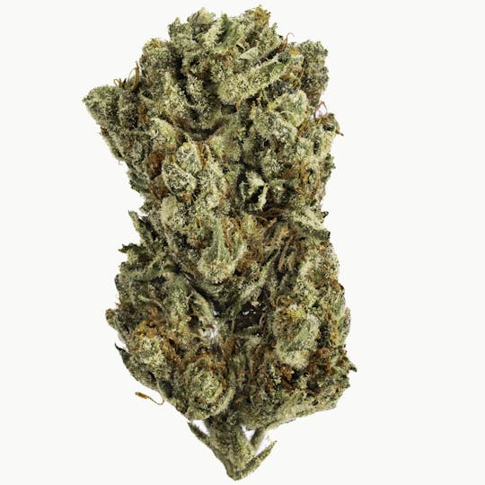 West Coast Cure - Guava Gelato - 3.5G Premium Flower - 1