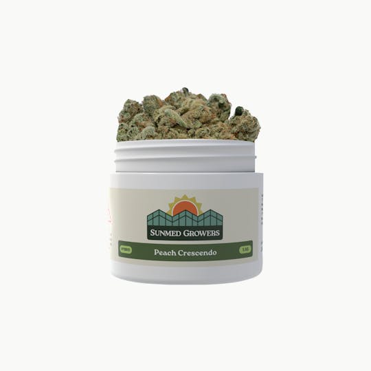 SunMed Growers - Peach Crescendo Flower (3.5g) - 1