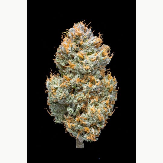 Pro Gro - Crunch Berries - 1