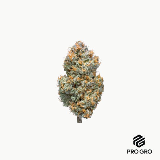 Pro Gro - Crunch Berries Pre-Pack | 3.5g - 1