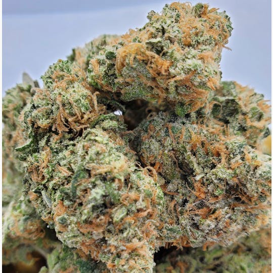 World Class Cannabis - California Dream - 1