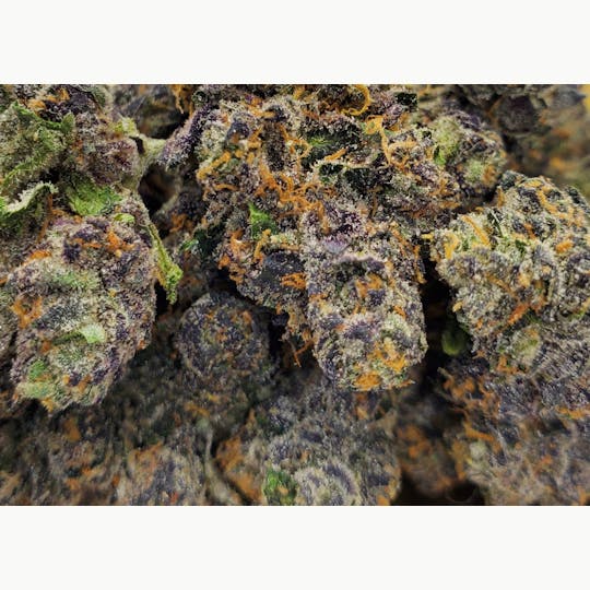World Class Cannabis - Blue Sherbert - 1