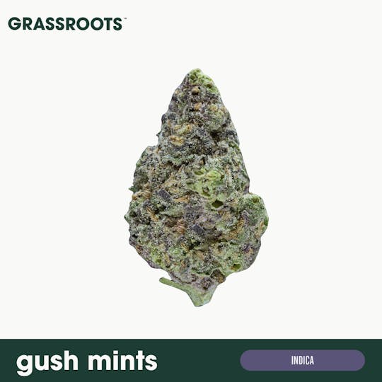 Grassroots - Gush Mints - Flower - 1