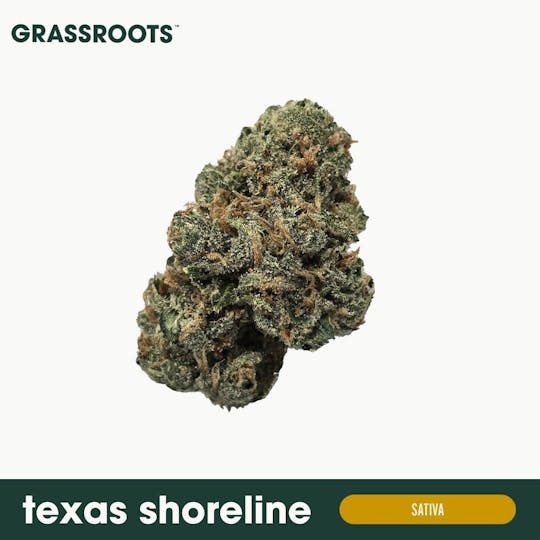 Grassroots - Texas Shoreline Flower - 1