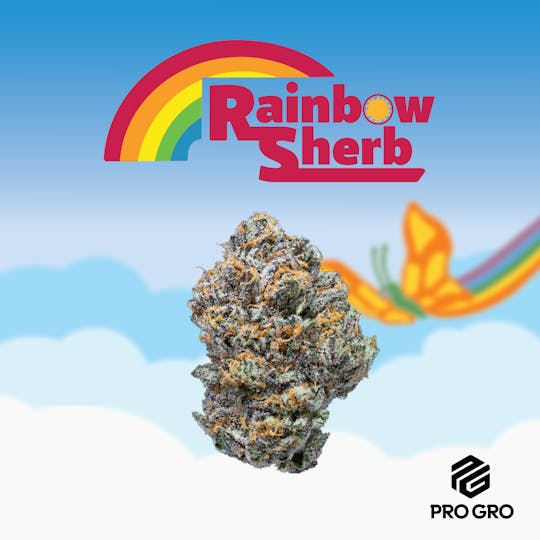 Pro Gro - Rainbow Sherb Pre-Roll | 1g - 1