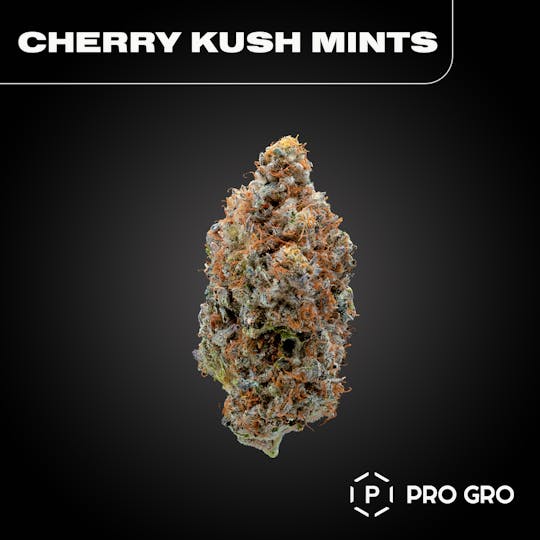 Pro Gro - Cherry Kush Mints Pre-Roll | 1g - 1