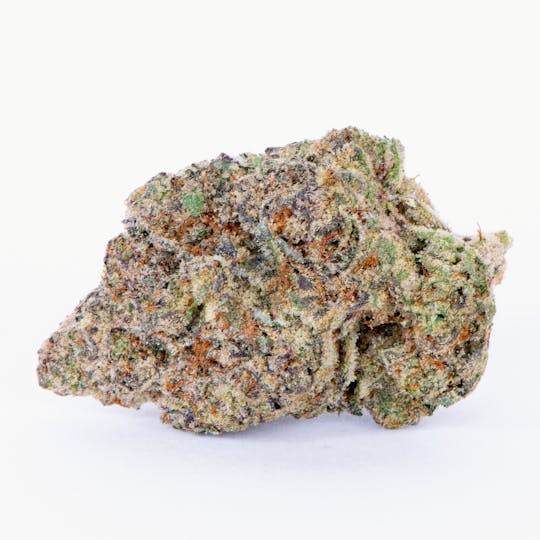 Pure Beauty - Grandiflora Guava | 3.5g Indoor - 1