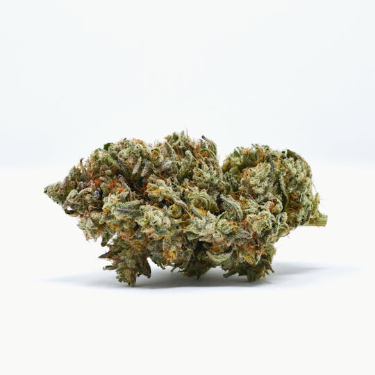 Pure Beauty - Koko | 14.17g Indoor - 1