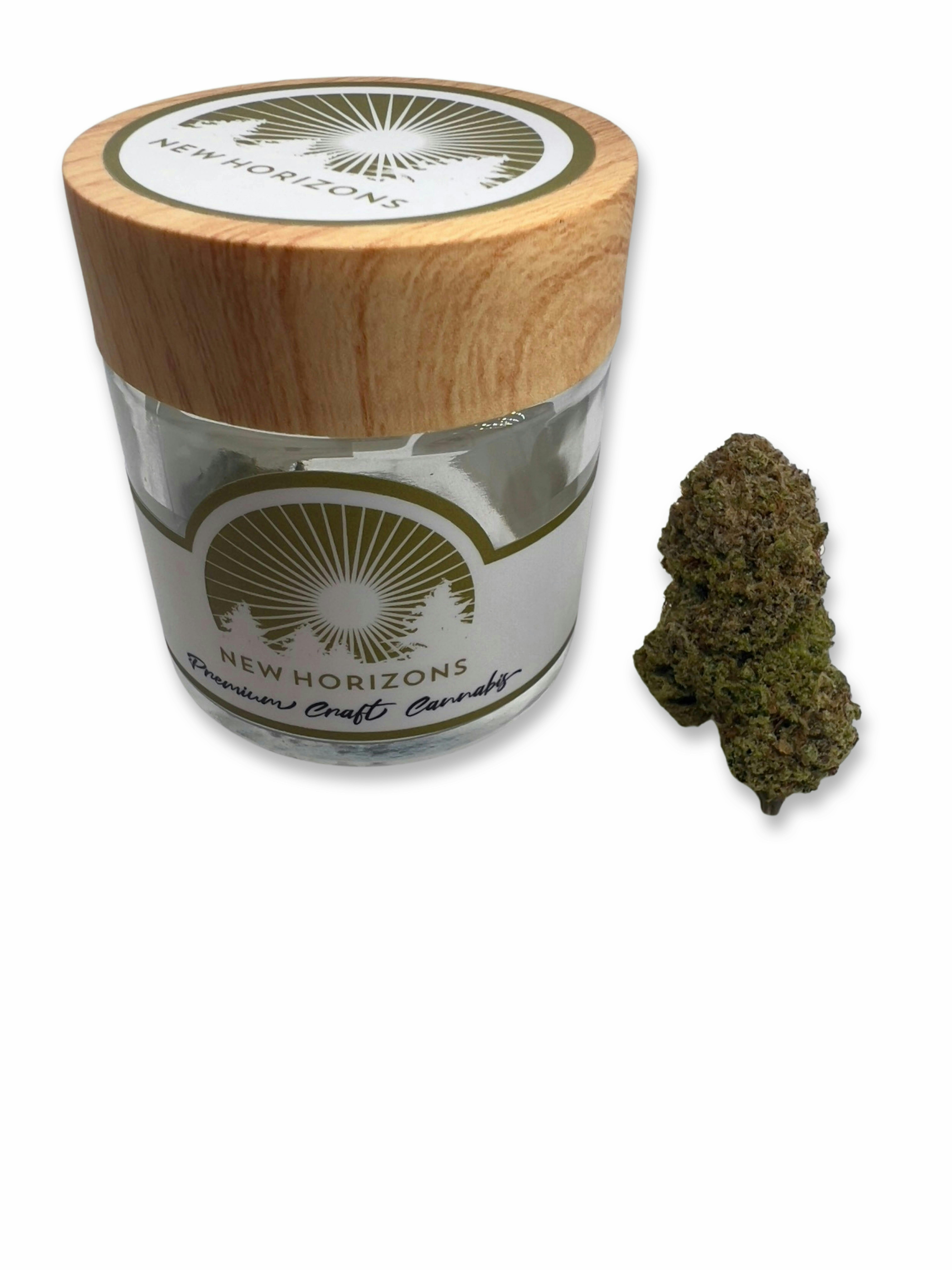 Indico - Treasure Island - New Horizons - 1