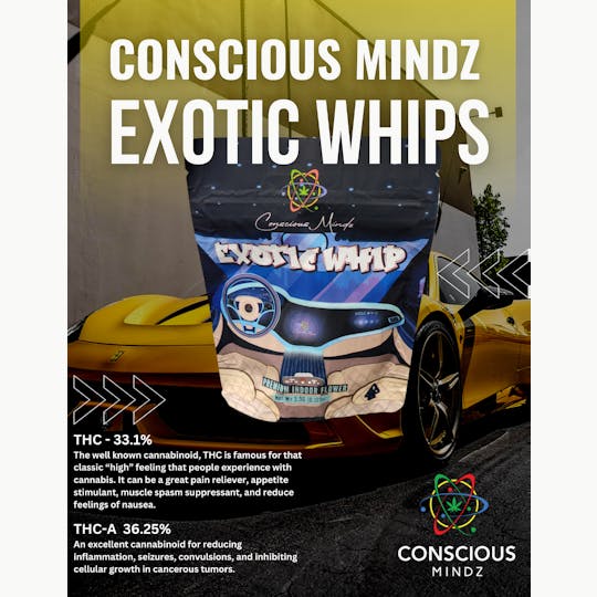 Conscious Mindz - Exotic Whip - 1