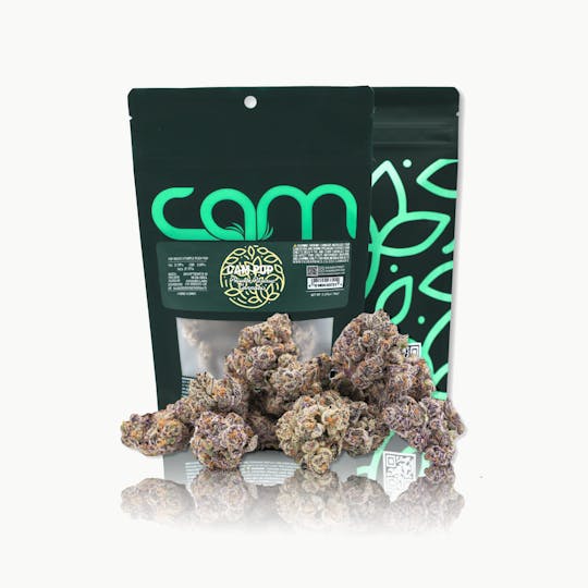 CAM - CAM | CAM Pop (14g) - 1