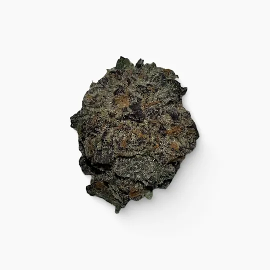 Indico - Grape Gotti - Indico - 1