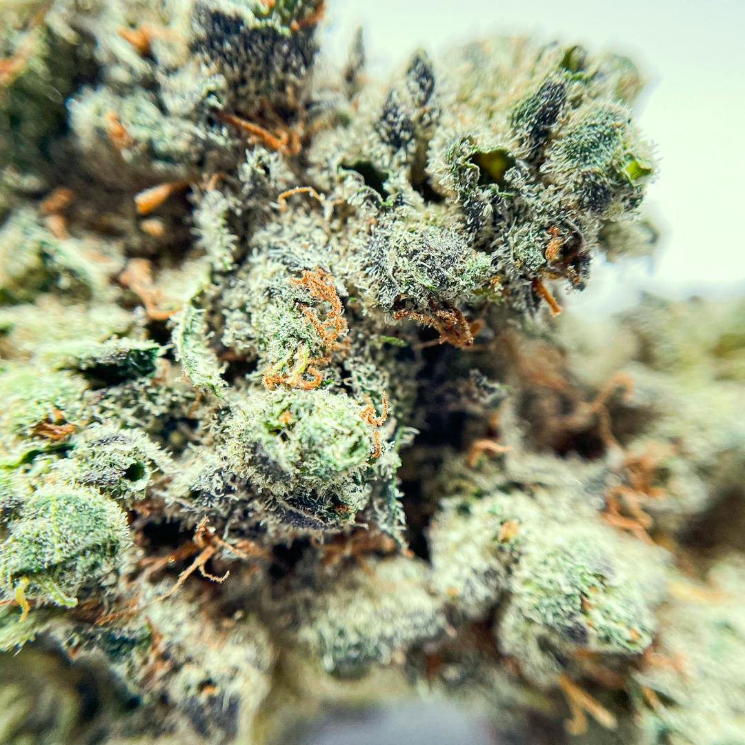 BeWell Organic Medicine - Lemon Grab 3.5g Flower - 1