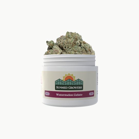 SunMed Growers - Watermelon Gelato Flower (3.5g) - 1