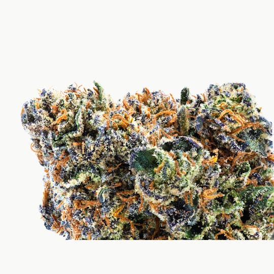 Vivid - Vivid - Jokerz Candy - Hybrid - 1