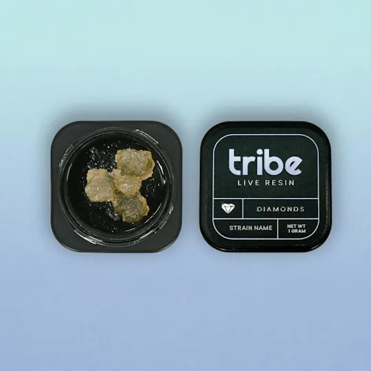 Tribe - Tribe | Lemongrass | Live Diamonds & Terps | 1g - 1