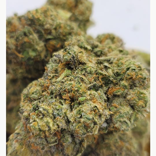 World Class Cannabis - Cobbler - 1