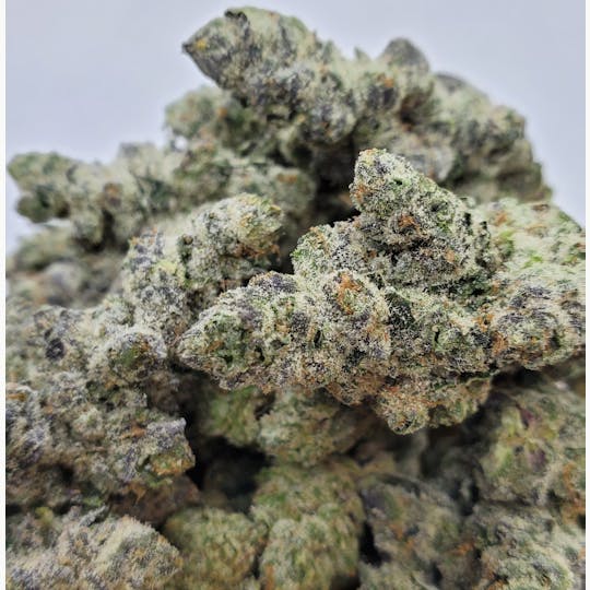 World Class Cannabis - Matanuska Thunder Fuck - 1
