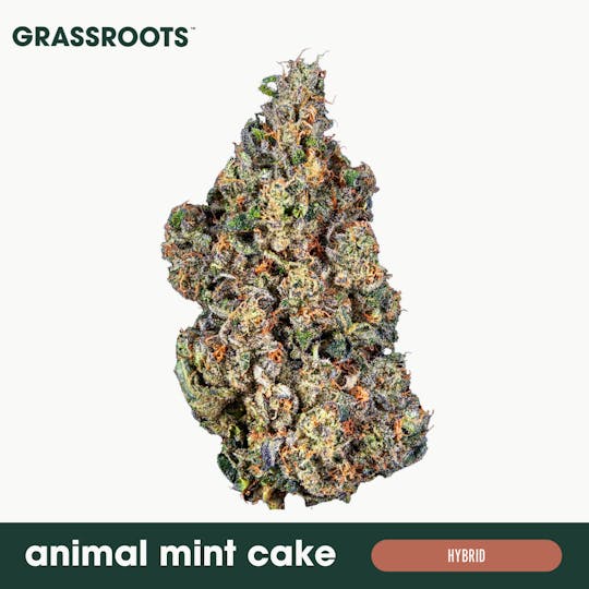 Grassroots - Animal Mint Cake - Flower - 1