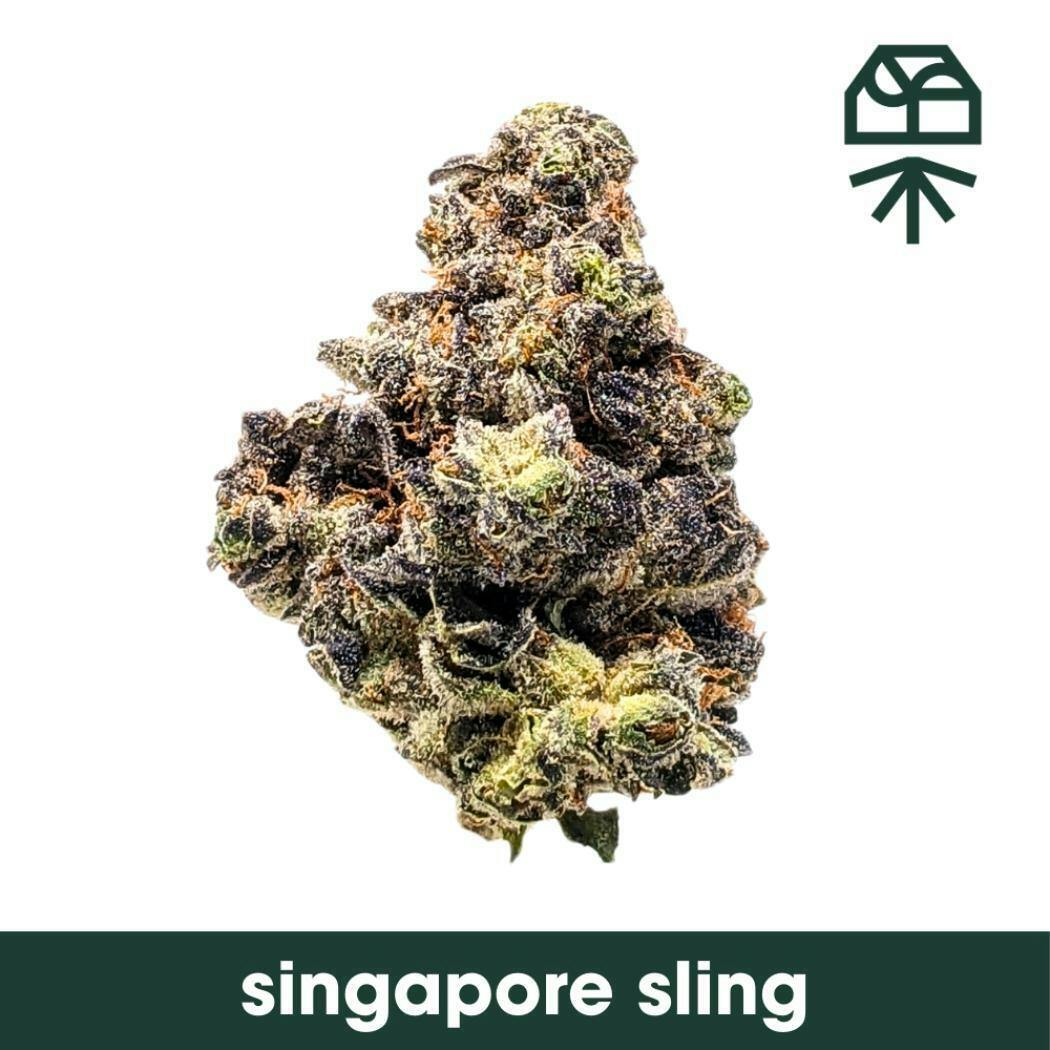 Grassroots - Singapore Sling Whole Flower - 1