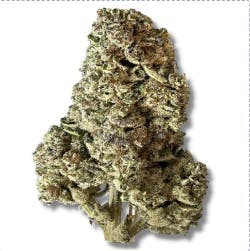 Smoakland - Smoakland | Top Gun | Big Buds | 3.5g - 1