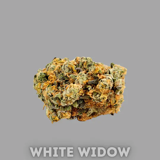 WHITE WIDOW – 3.5 GRAM PACKAGE - One Source Products WHITE WIDOW – 3.5 GRAM PACKAGE - One Source Products