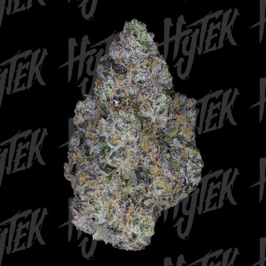 Hytek - HYTEK | SHERB BANGER | BULK DELI FLOWER - 1