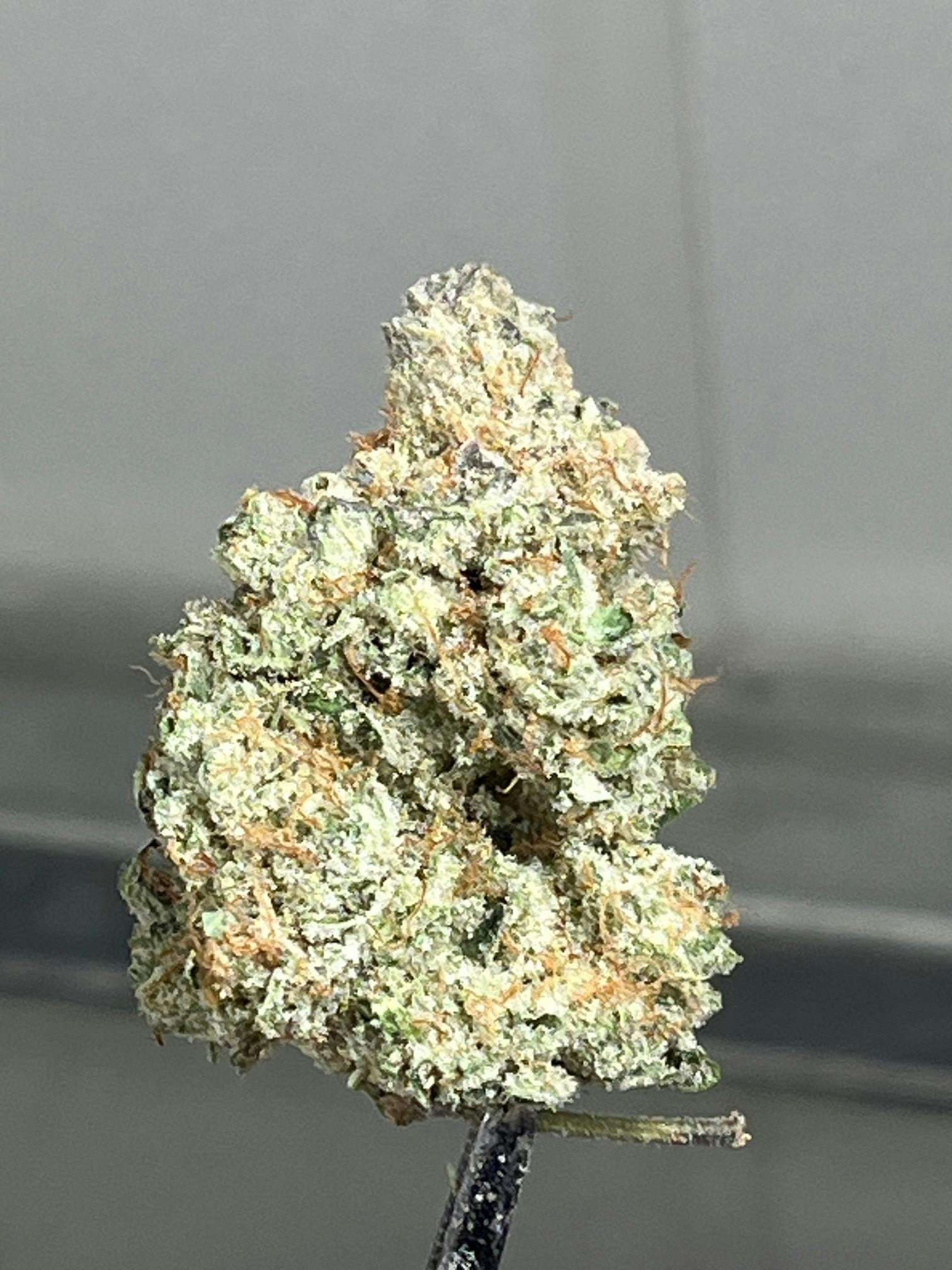Southern Grown Therapeutics - Orange Creamsicle - 3.5g - 1